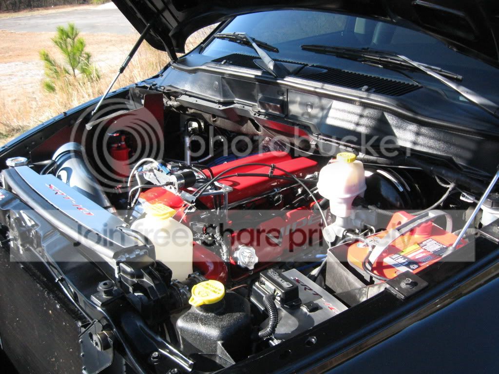 04Viper020.jpg