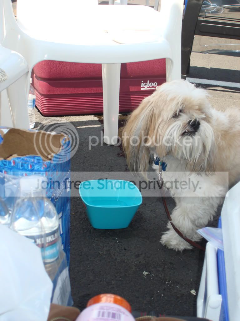 fontana_drags03333.jpg