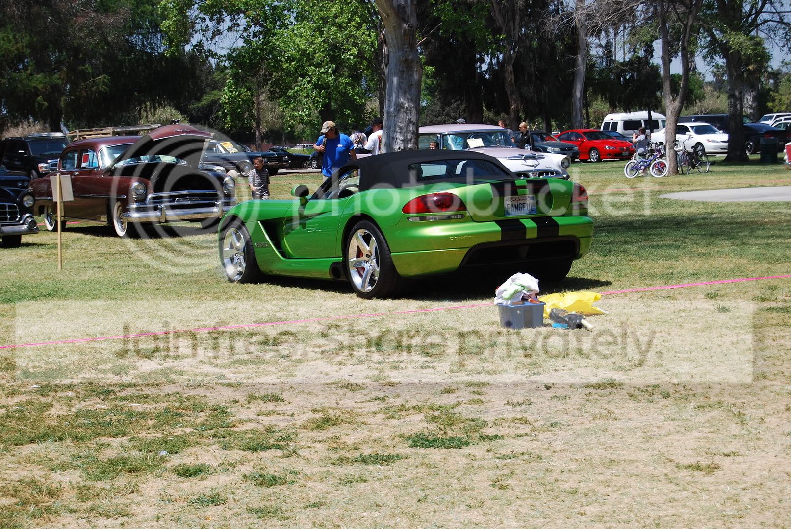 DSC_0455.jpg