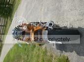 m_1574d25f908a15306e2da4ac12cc4ee2.jpg