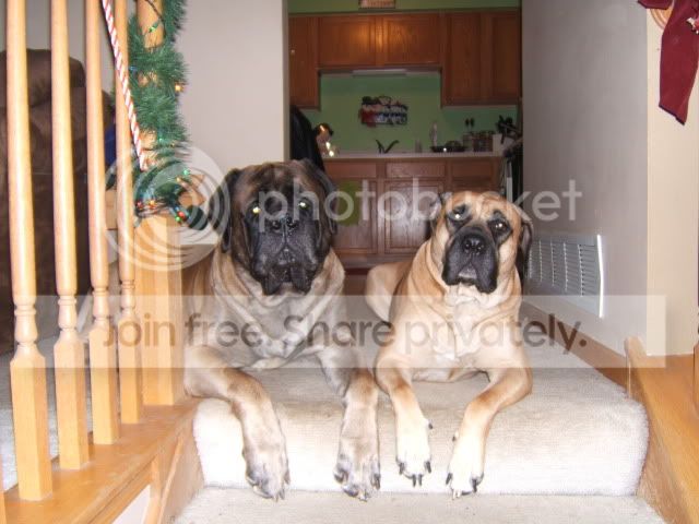 Picture023.jpg