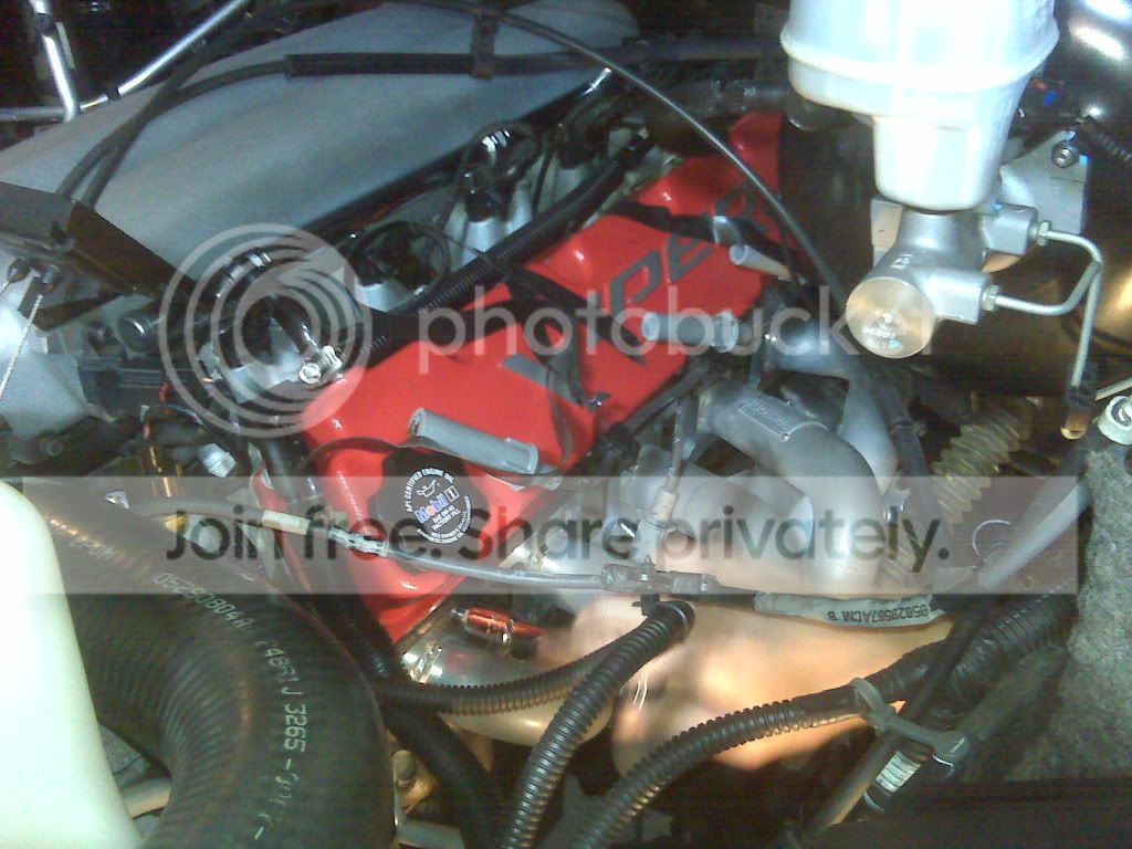 IMG00404.jpg