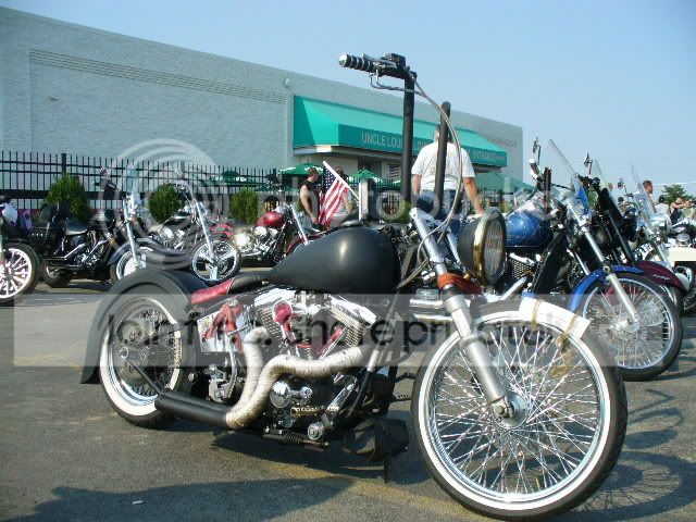 P1010767.jpg