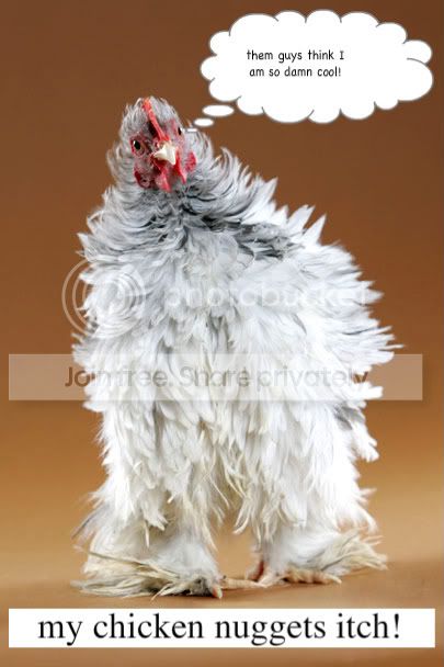 Studio_SplashFrizCoch_980_L-1-1.jpg