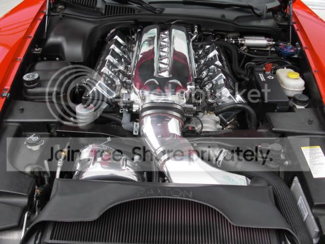CIMG0273.jpg