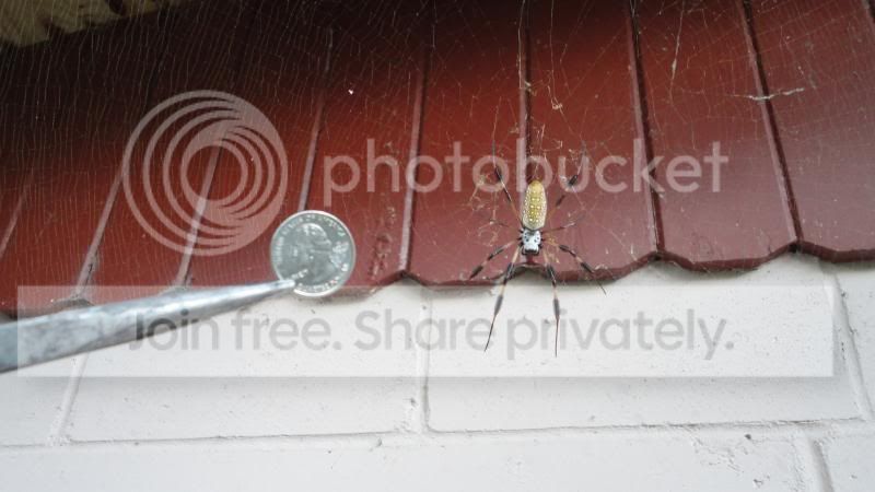 DSC01438_zpsb0ac850d.jpg