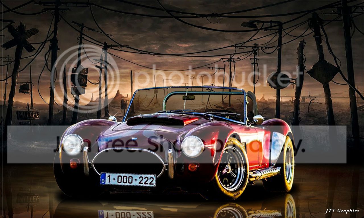 Cobra-1-1_zps17163194.jpg