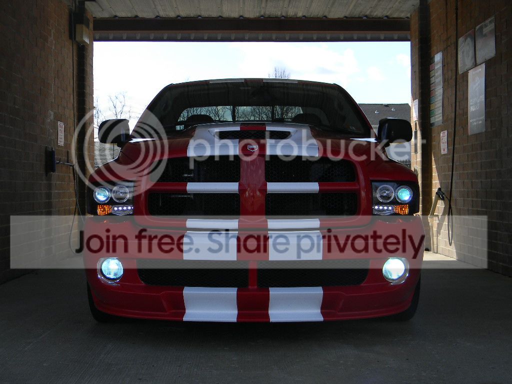srt10TOTM016.jpg