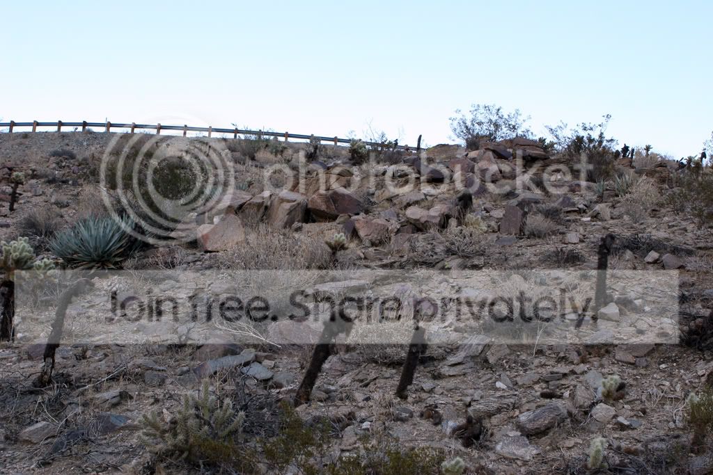 PalmDesertPics234b.jpg
