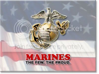 USMC_logo_flag.jpg