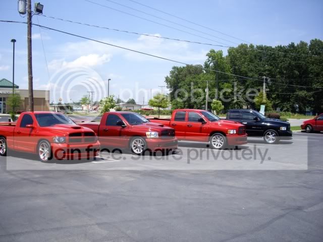 IMGP3442.jpg
