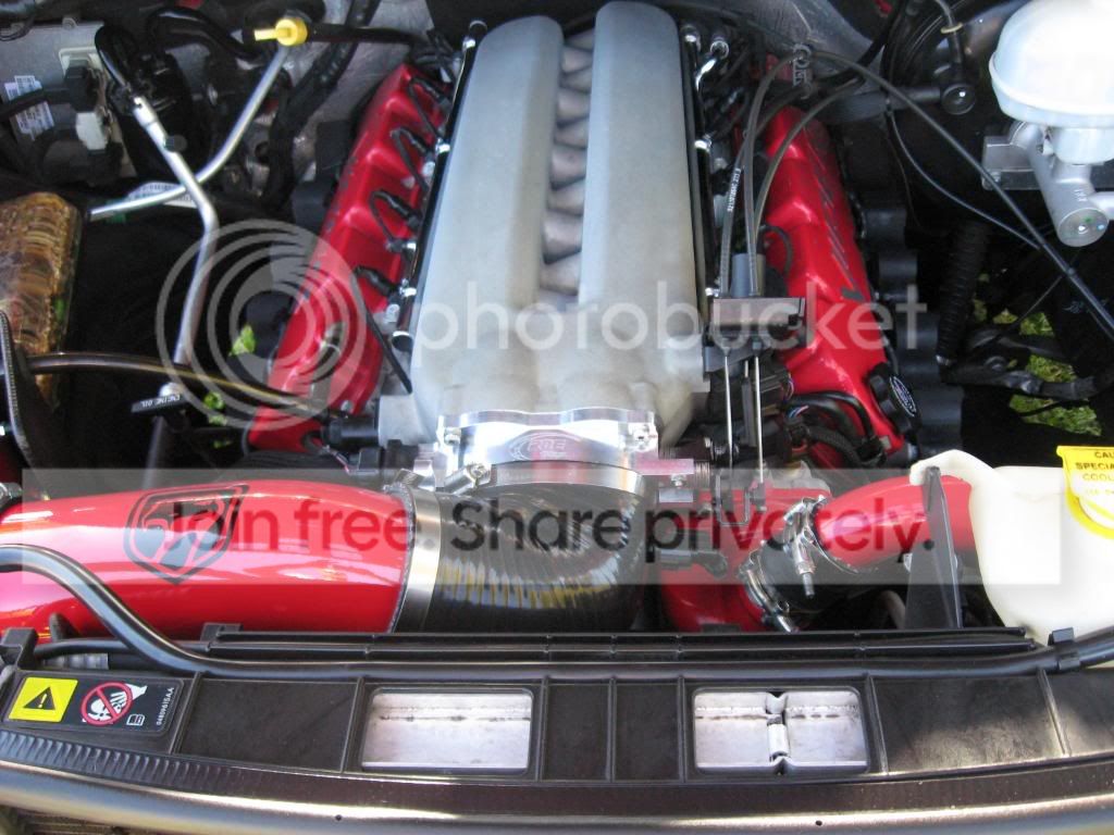 Picture117.jpg