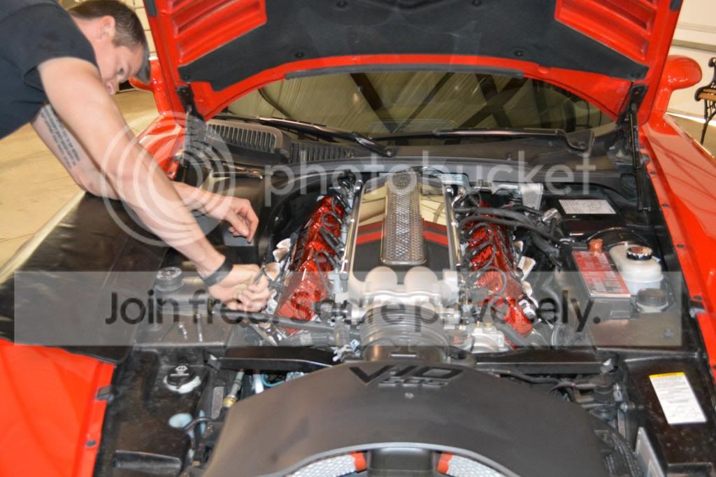 DSC_0024_zps1b54f620.jpg