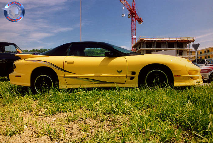 02ColEditionTransAmYellow003.jpg