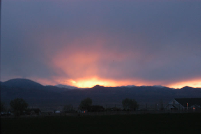 DSC_10333_JPG.jpg