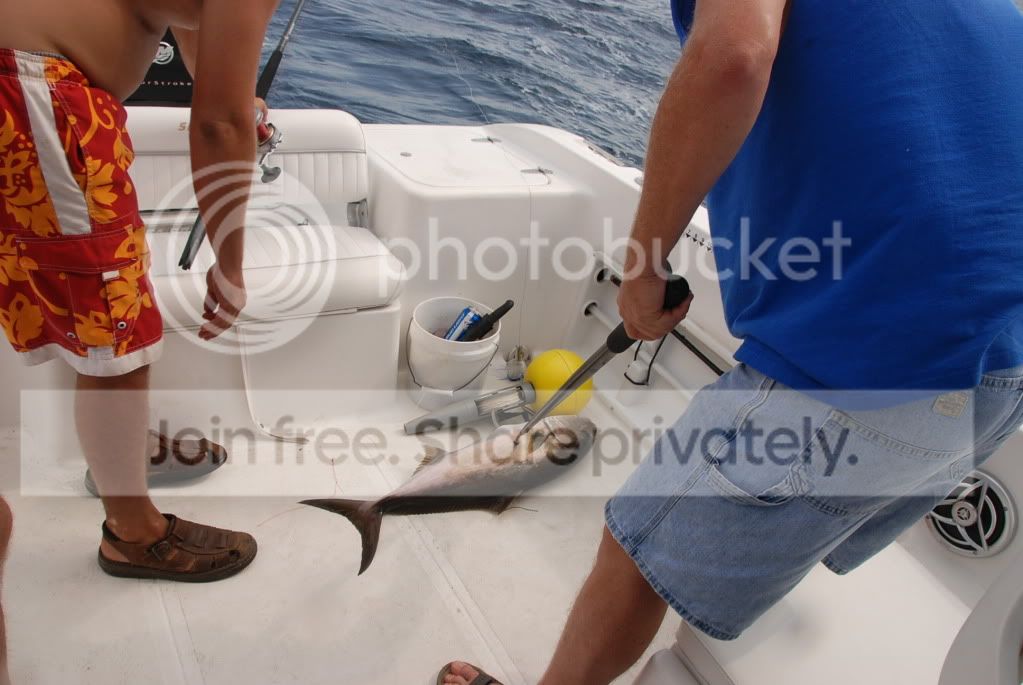 fishintrip002.jpg