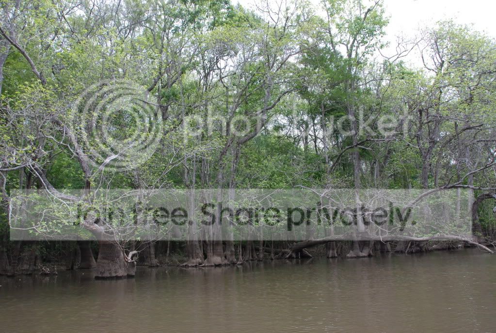 howardscreek005.jpg