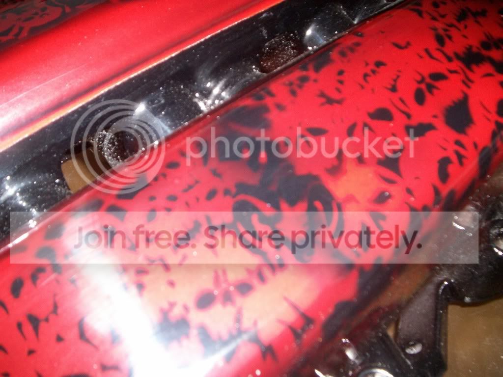 Picture3439.jpg