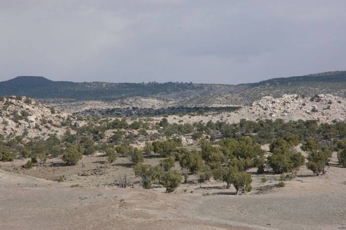 DSC_0700_JPG.jpg