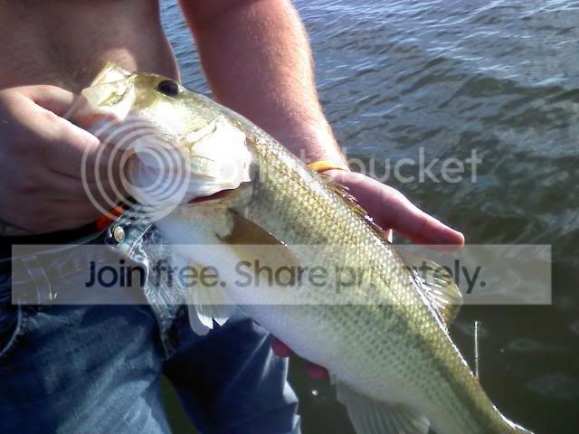 AbesFish2.jpg