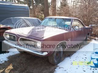 Barracuda001.jpg