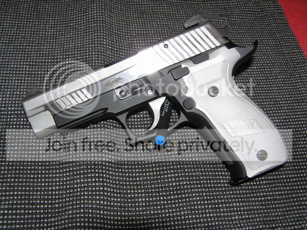 SigP226PlatinumElite40cal008.jpg