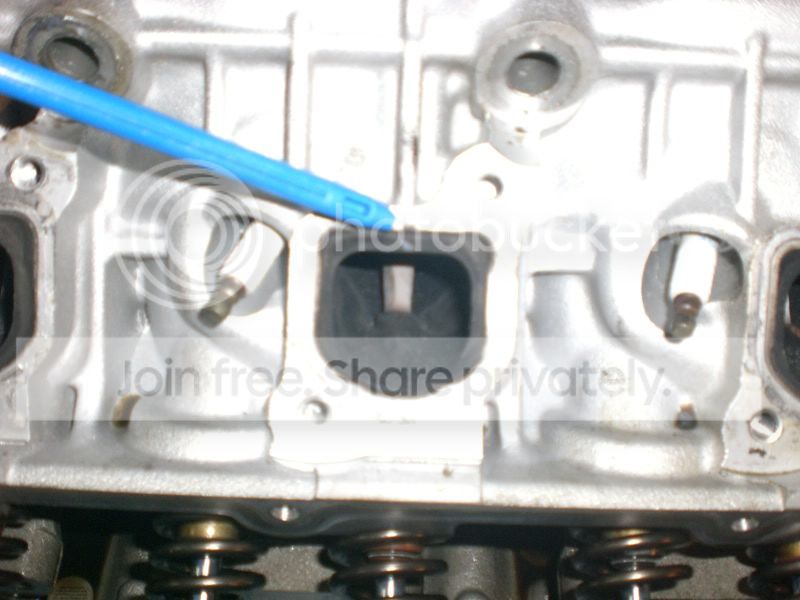 CIMG1142.jpg