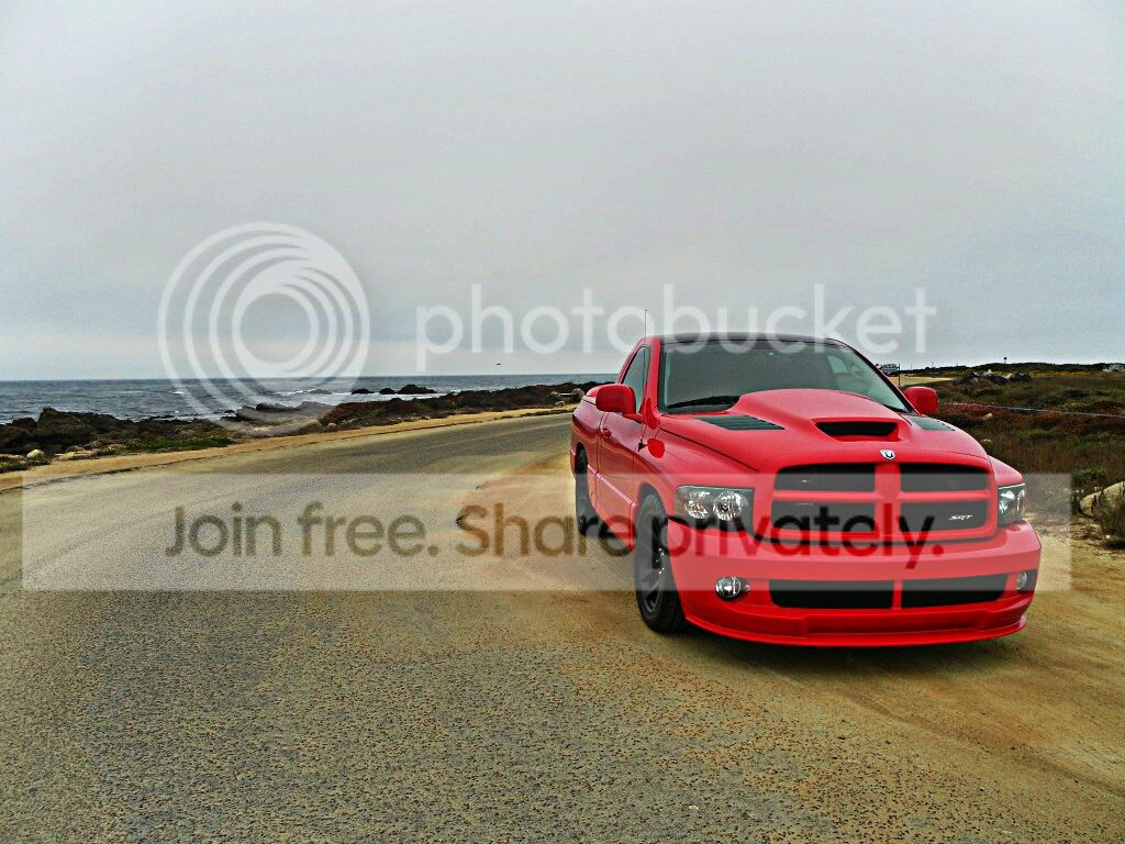 SAM_0939_zpse04a0986_Hagrid_zpsc15737c0.jpg