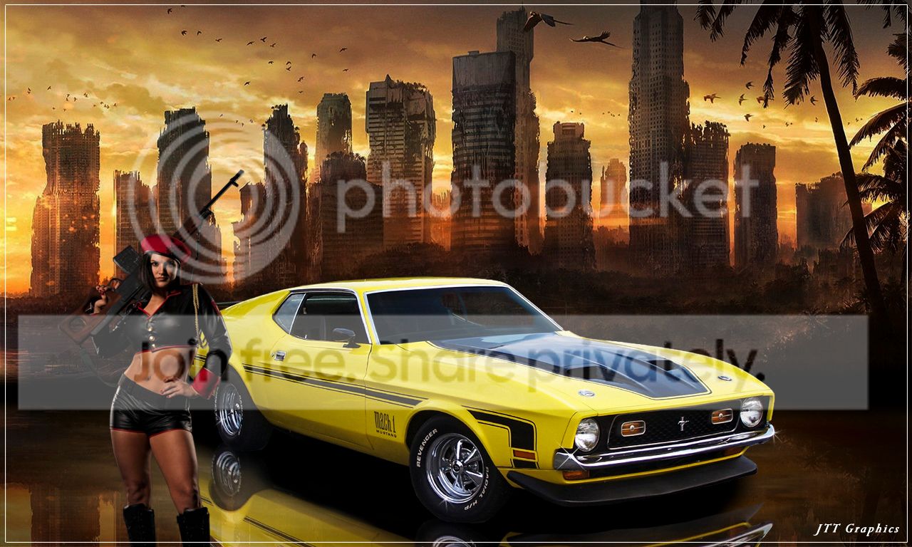YellStang71-1_zps5388e971.jpg