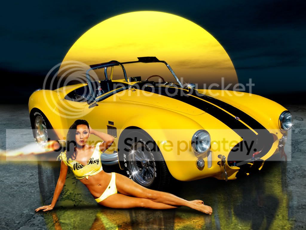 SilverbackBabe.jpg