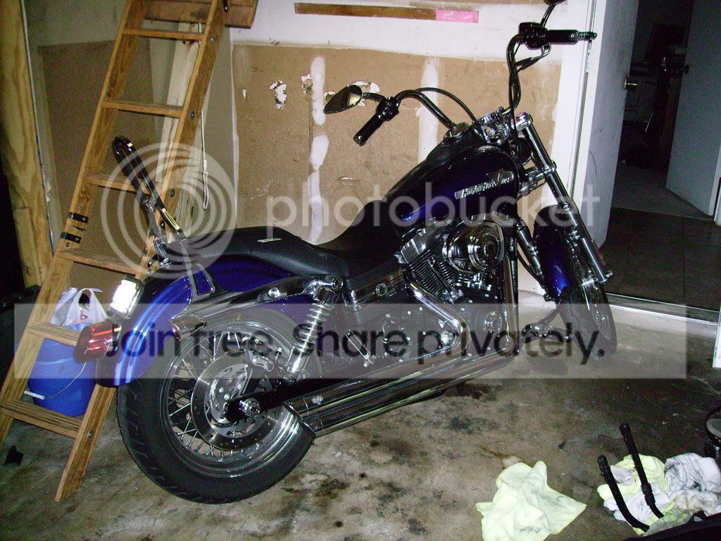 IMGP0039.jpg