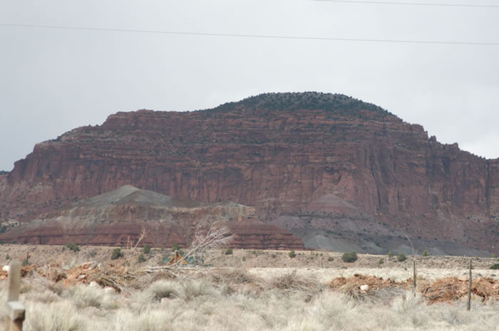 DSC_0516_JPG.jpg