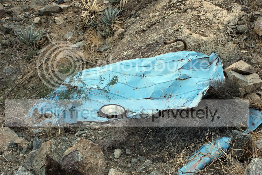 PalmDesertPics160b.jpg