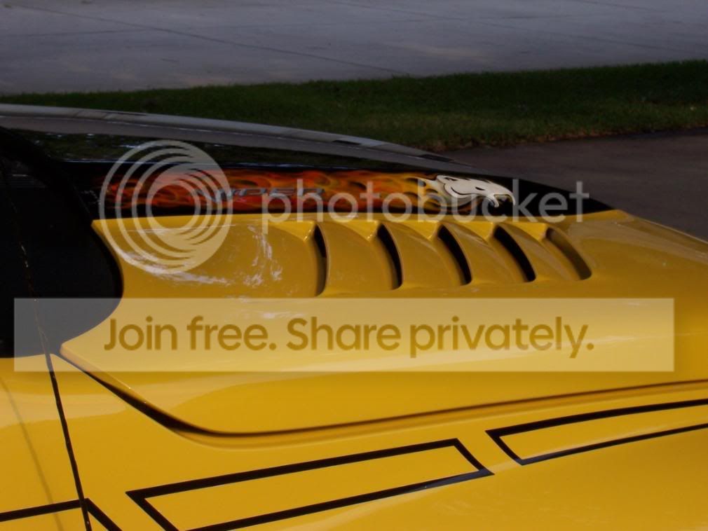 SRT10035.jpg