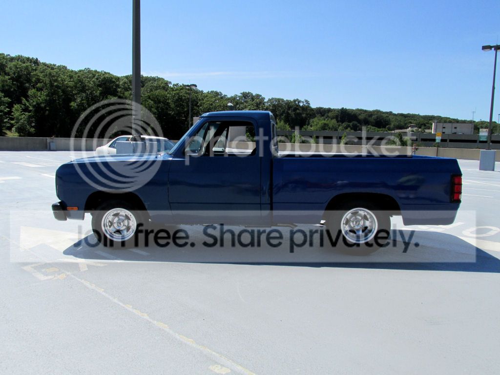 IMG_1894s_zps5c236f7b.jpg