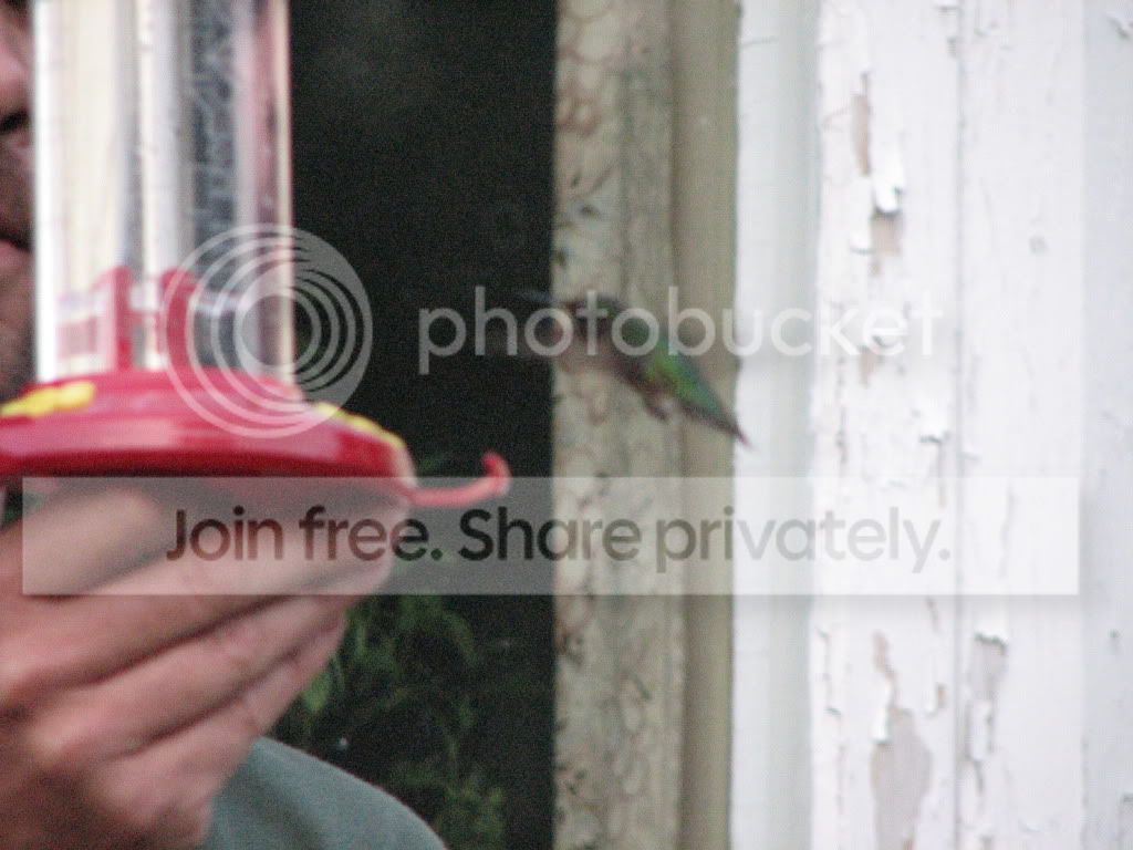 birds095.jpg