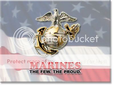 USMC_logo_flag.jpg