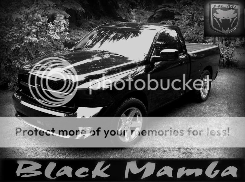 Black_Mamba_Logo1-3-2.jpg